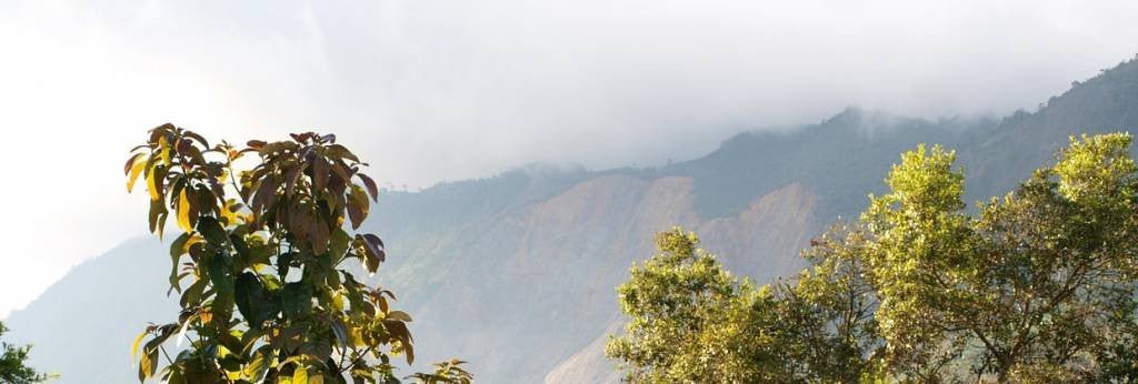 Top 5 organic fairtrade coffee producers in South America - Café Liégeois Canada Inc.