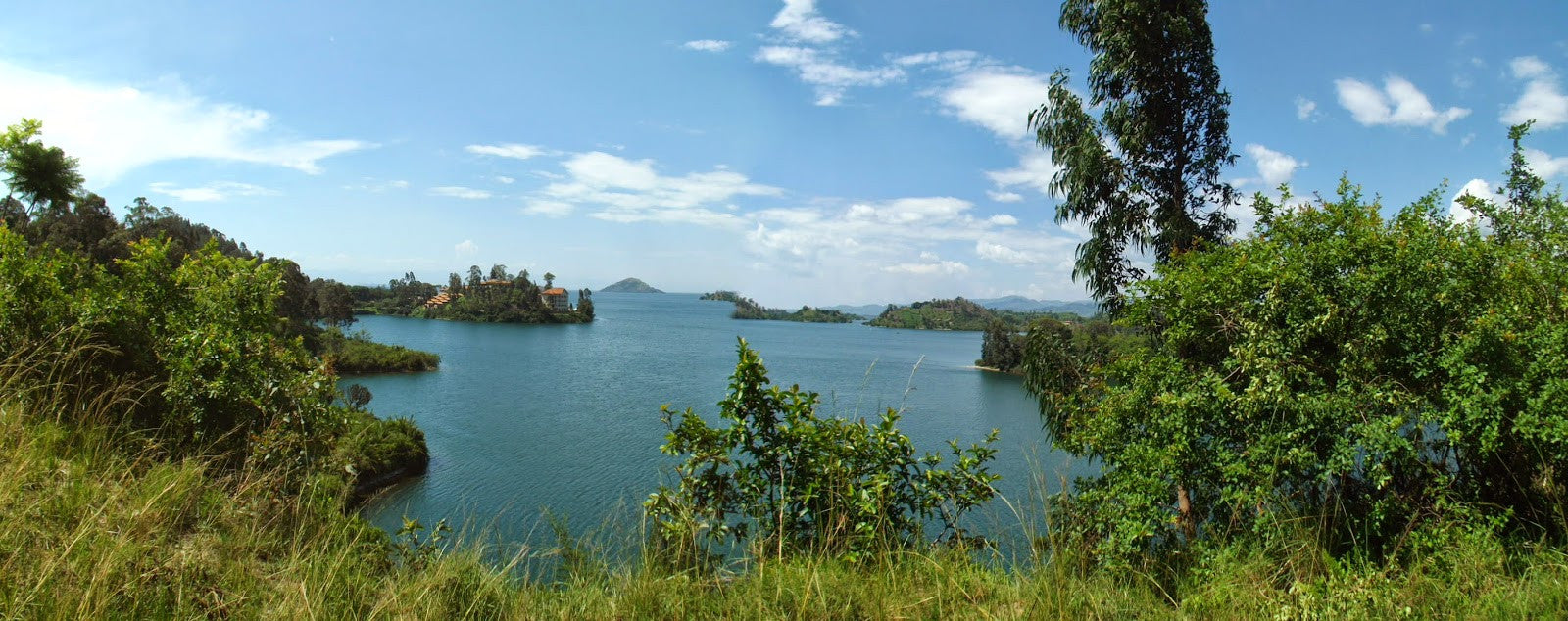 Kivu: A land rich in coffee