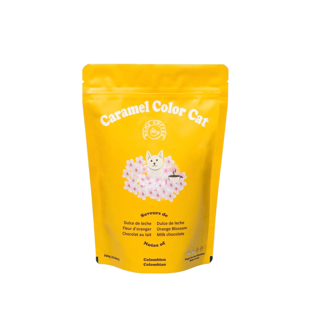 Dums Coffee Caramel Color Cat
