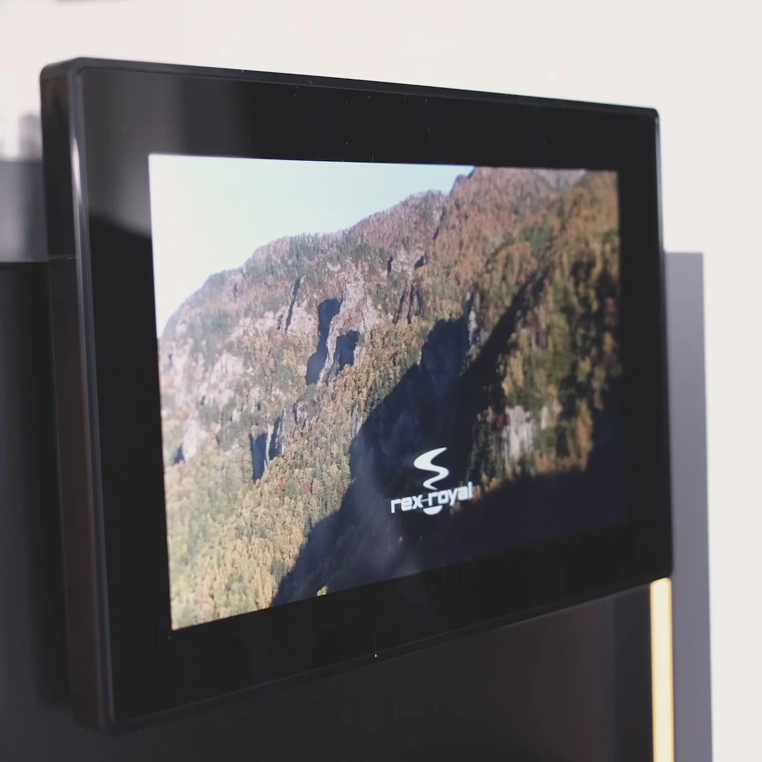 Rex-Royal - S300 Manual (CST)