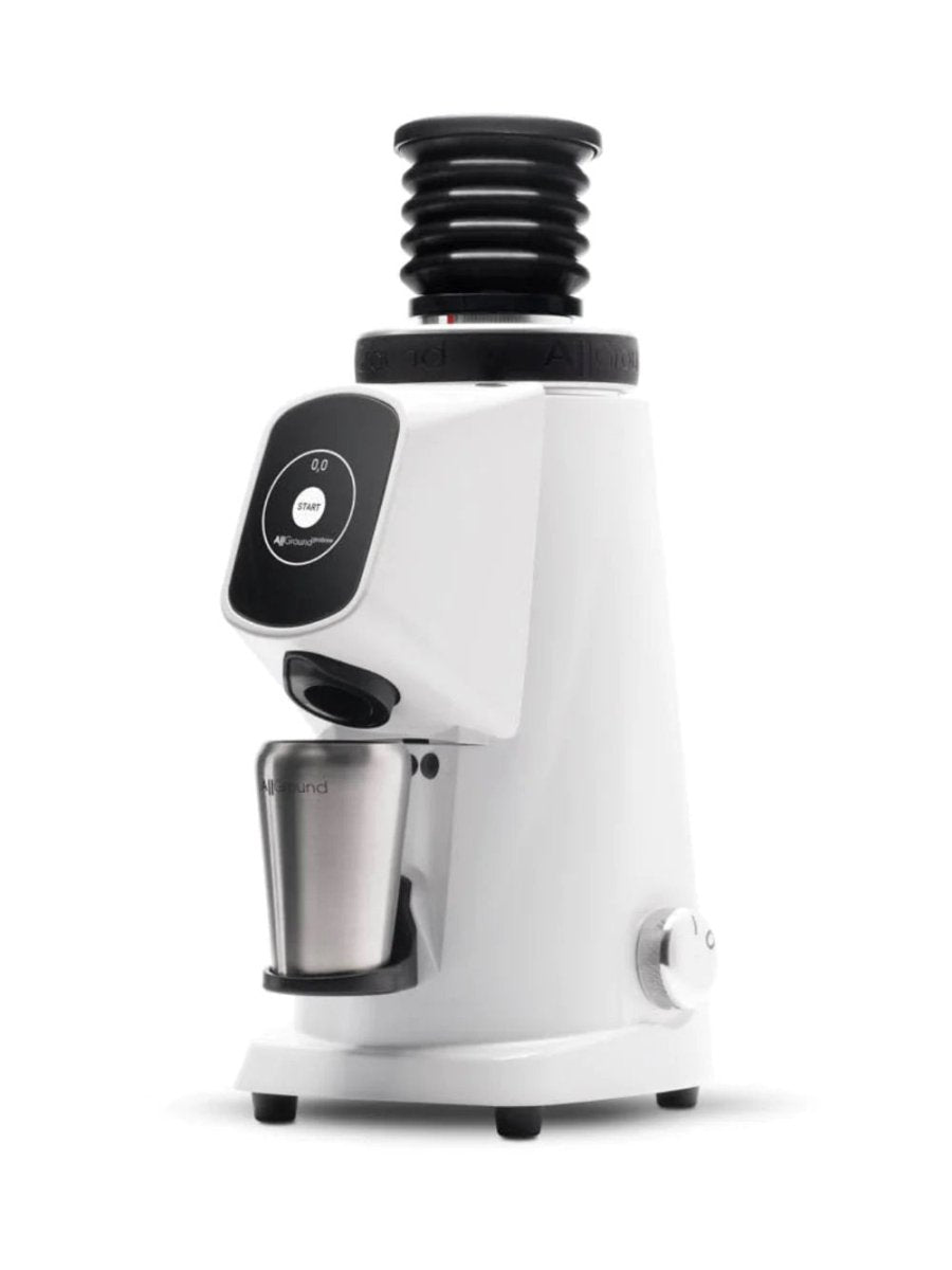 Fiorenzato - AllGround ProBrew Coffee Grinder (120V) - Café Liégeois