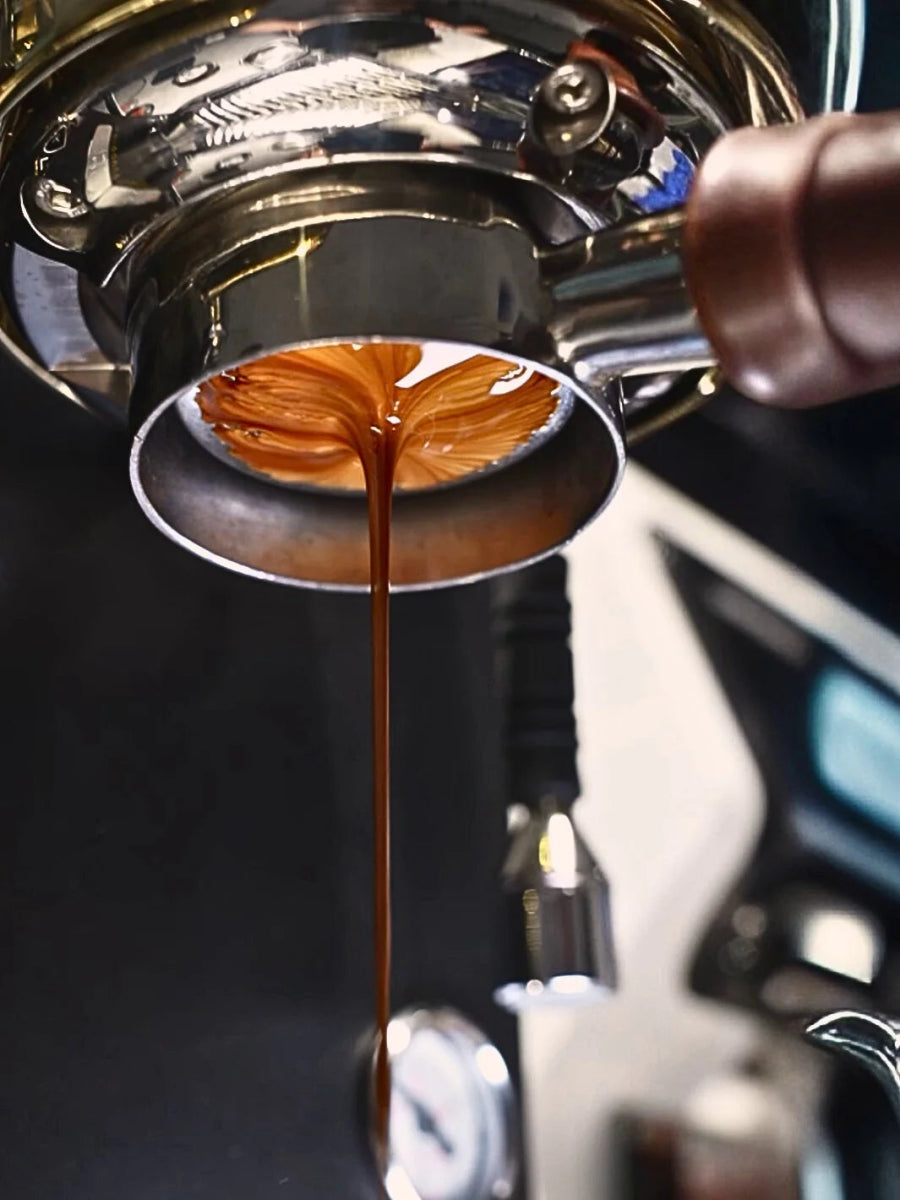 WENDOUGEE Data S Espresso Machine - Café Liégeois Canada Inc.