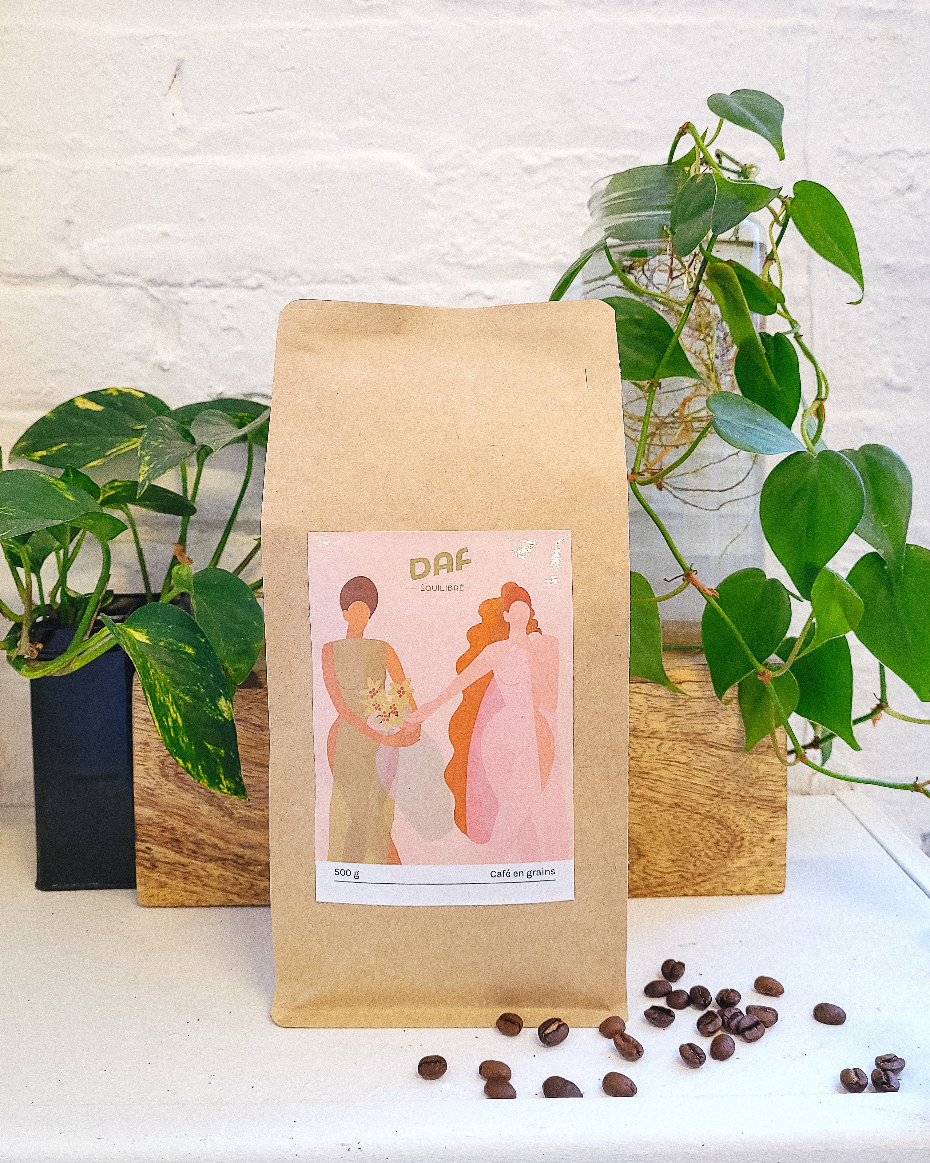 Tasting pack Fruity/Balanced/Strong - 3 bags x 500g - Local coffee beans- DAF